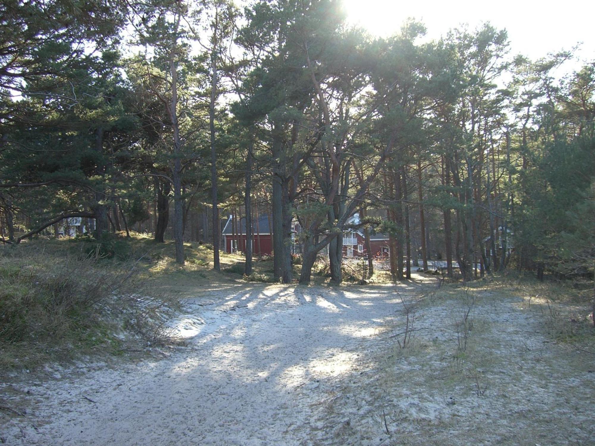 Haus Sandra Baabe Buitenkant foto