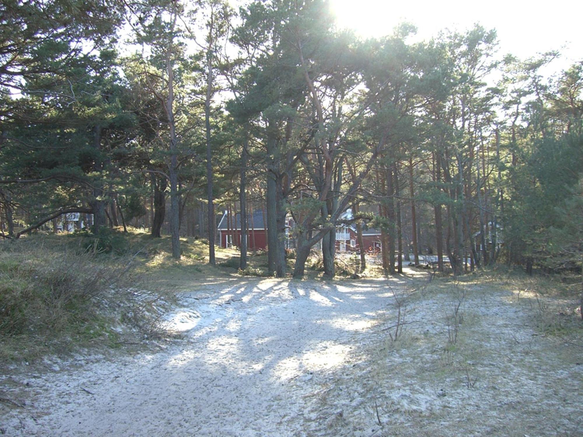 Haus Sandra Baabe Buitenkant foto